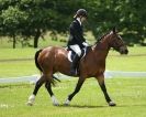 Image 86 in HOUGHTON  INTERNATIONAL. UNAFFILIATED DRESSAGE 2014
