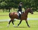 Image 86 in HOUGHTON INTERNATIONAL. UNAFFILIATED DRESSAGE 2014