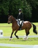 Image 87 in HOUGHTON  INTERNATIONAL. UNAFFILIATED DRESSAGE 2014