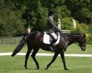 Image 88 in HOUGHTON  INTERNATIONAL. UNAFFILIATED DRESSAGE 2014