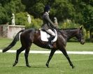 Image 89 in HOUGHTON INTERNATIONAL. UNAFFILIATED DRESSAGE 2014
