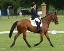 Image 9 in HOUGHTON  INTERNATIONAL. UNAFFILIATED DRESSAGE 2014
