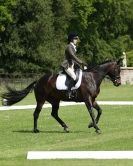 Image 90 in HOUGHTON INTERNATIONAL. UNAFFILIATED DRESSAGE 2014