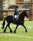 Image 91 in HOUGHTON  INTERNATIONAL. UNAFFILIATED DRESSAGE 2014