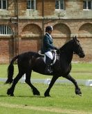 Image 92 in HOUGHTON  INTERNATIONAL. UNAFFILIATED DRESSAGE 2014