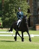 Image 93 in HOUGHTON INTERNATIONAL. UNAFFILIATED DRESSAGE 2014
