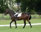 Image 94 in HOUGHTON  INTERNATIONAL. UNAFFILIATED DRESSAGE 2014