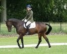 Image 95 in HOUGHTON  INTERNATIONAL. UNAFFILIATED DRESSAGE 2014