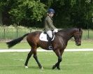 Image 96 in HOUGHTON INTERNATIONAL. UNAFFILIATED DRESSAGE 2014