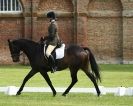 Image 97 in HOUGHTON  INTERNATIONAL. UNAFFILIATED DRESSAGE 2014