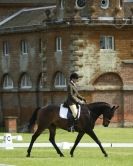 Image 98 in HOUGHTON  INTERNATIONAL. UNAFFILIATED DRESSAGE 2014