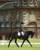 Image 98 in HOUGHTON INTERNATIONAL. UNAFFILIATED DRESSAGE 2014