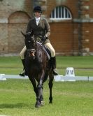 Image 99 in HOUGHTON INTERNATIONAL. UNAFFILIATED DRESSAGE 2014
