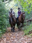 Image 10 in A RIDE IN NORTH NORFOLK