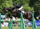 SHOW JUMPING AT HOUGHTON 2014