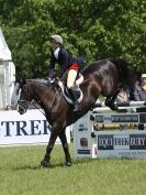 Image 10 in SHOW JUMPING AT HOUGHTON 2014