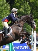 Image 11 in SHOW JUMPING AT HOUGHTON 2014