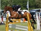 Image 13 in SHOW JUMPING AT HOUGHTON 2014