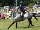 Image 14 in SHOW JUMPING AT HOUGHTON 2014