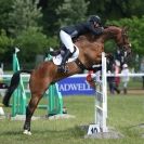 Image 4 in SHOW JUMPING AT HOUGHTON 2014