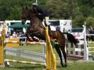Image 5 in SHOW JUMPING AT HOUGHTON 2014
