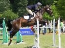 Image 6 in SHOW JUMPING AT HOUGHTON 2014