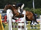 Image 8 in SHOW JUMPING AT HOUGHTON 2014