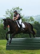 Image 16 in STRATFORD HILLS.  EVENTING