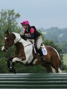 Image 47 in STRATFORD HILLS.  EVENTING