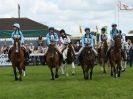 SOUTH NORFOLK PONY CLUB CHALLENGERS AT ROYAL NORFOLK SHOW 2014.
