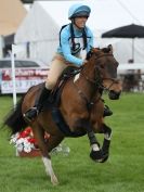 Image 10 in SOUTH NORFOLK PONY CLUB CHALLENGERS AT ROYAL NORFOLK SHOW 2014.