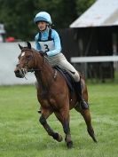 Image 11 in SOUTH NORFOLK PONY CLUB CHALLENGERS AT ROYAL NORFOLK SHOW 2014.