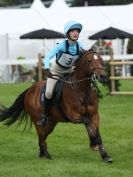 Image 13 in SOUTH NORFOLK PONY CLUB CHALLENGERS AT ROYAL NORFOLK SHOW 2014.