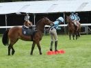 Image 14 in SOUTH NORFOLK PONY CLUB CHALLENGERS AT ROYAL NORFOLK SHOW 2014.