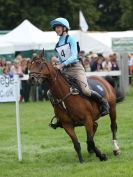 Image 15 in SOUTH NORFOLK PONY CLUB CHALLENGERS AT ROYAL NORFOLK SHOW 2014.