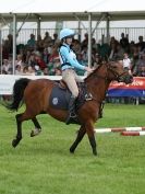 Image 16 in SOUTH NORFOLK PONY CLUB CHALLENGERS AT ROYAL NORFOLK SHOW 2014.