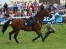 Image 18 in SOUTH NORFOLK PONY CLUB CHALLENGERS AT ROYAL NORFOLK SHOW 2014.