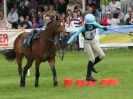 Image 2 in SOUTH NORFOLK PONY CLUB CHALLENGERS AT ROYAL NORFOLK SHOW 2014.