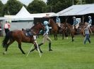 Image 20 in SOUTH NORFOLK PONY CLUB CHALLENGERS AT ROYAL NORFOLK SHOW 2014.