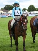 Image 24 in SOUTH NORFOLK PONY CLUB CHALLENGERS AT ROYAL NORFOLK SHOW 2014.