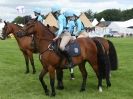 Image 27 in SOUTH NORFOLK PONY CLUB CHALLENGERS AT ROYAL NORFOLK SHOW 2014.