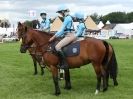 Image 28 in SOUTH NORFOLK PONY CLUB CHALLENGERS AT ROYAL NORFOLK SHOW 2014.