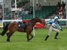 Image 3 in SOUTH NORFOLK PONY CLUB CHALLENGERS AT ROYAL NORFOLK SHOW 2014.