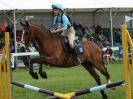 Image 4 in SOUTH NORFOLK PONY CLUB CHALLENGERS AT ROYAL NORFOLK SHOW 2014.