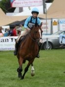Image 5 in SOUTH NORFOLK PONY CLUB CHALLENGERS AT ROYAL NORFOLK SHOW 2014.