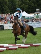 Image 6 in SOUTH NORFOLK PONY CLUB CHALLENGERS AT ROYAL NORFOLK SHOW 2014.