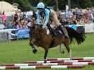 Image 7 in SOUTH NORFOLK PONY CLUB CHALLENGERS AT ROYAL NORFOLK SHOW 2014.