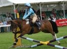 Image 8 in SOUTH NORFOLK PONY CLUB CHALLENGERS AT ROYAL NORFOLK SHOW 2014.