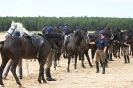 Image 10 in HOUSEHOLD CAVALRY AT HOLKHAM