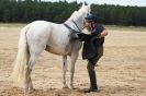 Image 11 in HOUSEHOLD CAVALRY AT HOLKHAM